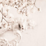 shop-background-bottom.jpg